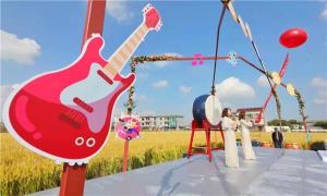 稻花飘香时 田间音乐起