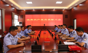 表彰先进 追忆征程 汲取革命精神力量