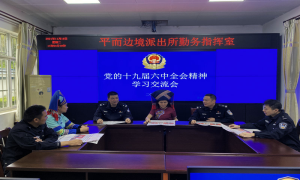 把党的十九届六中全会精神送到壮族同胞心坎上