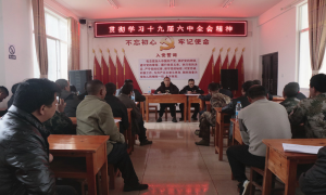 党的十九届六中全会精神传边关