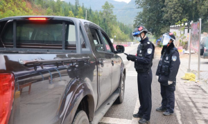 没事儿，疫情消散我再回家