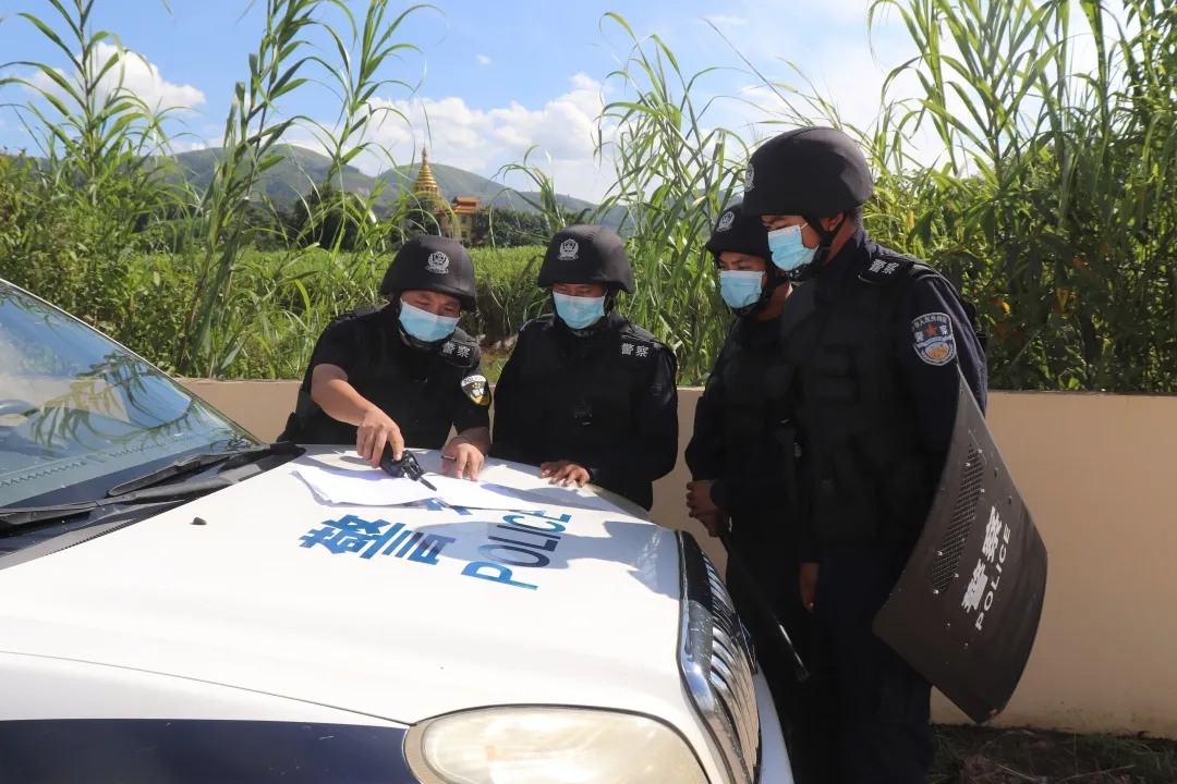 图片 3.png 图片 3.png