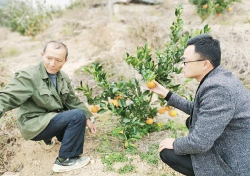 新闻2 白沙镇大力扶持山区种植业助推乡村振兴.png