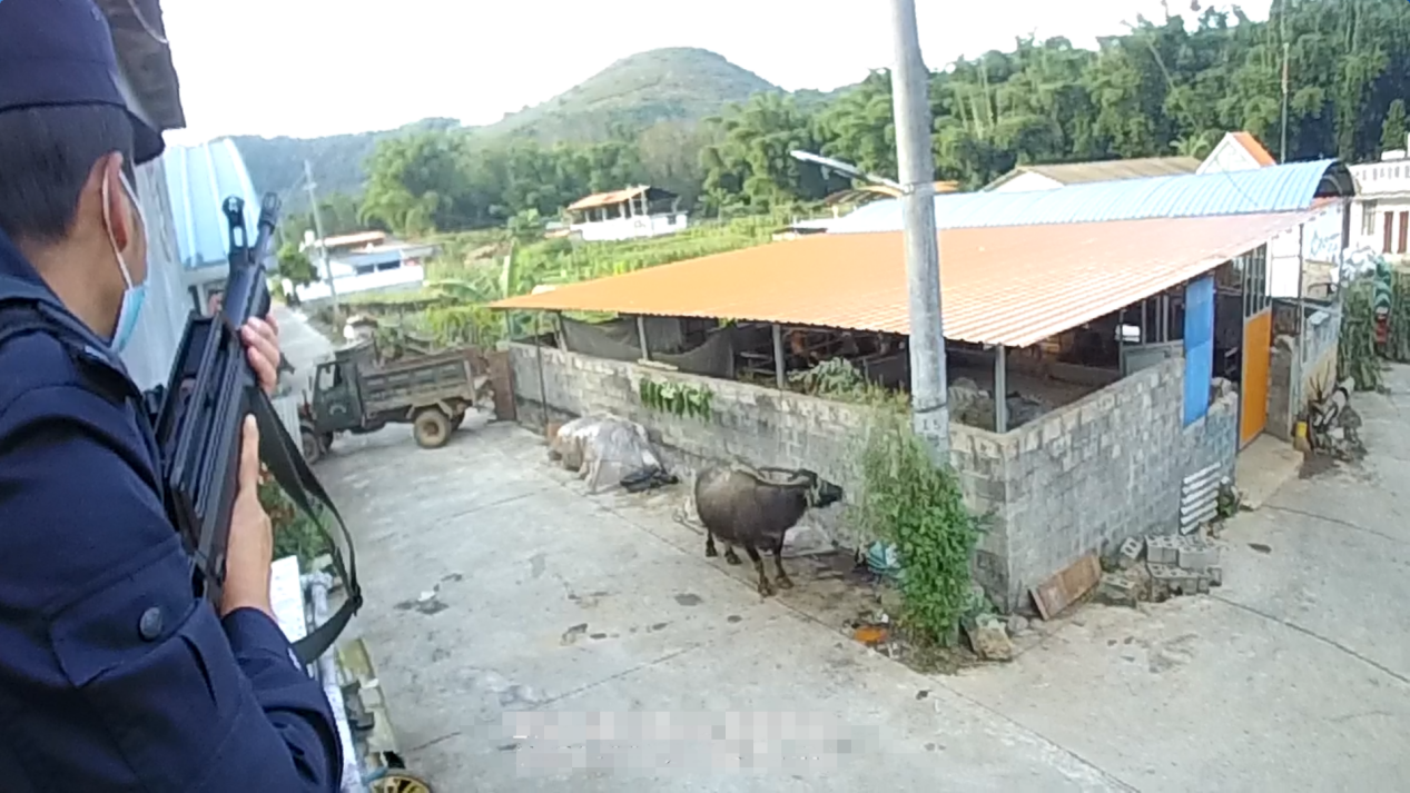 图片 1.png 图片 1.png