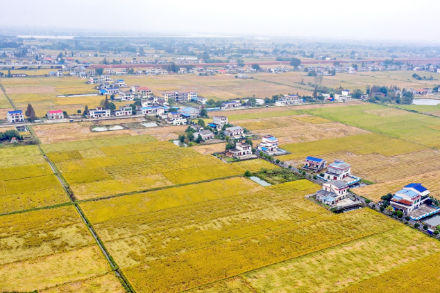 优质稻基地.png