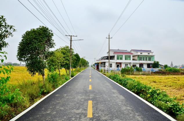 新泉镇乡村公路.png