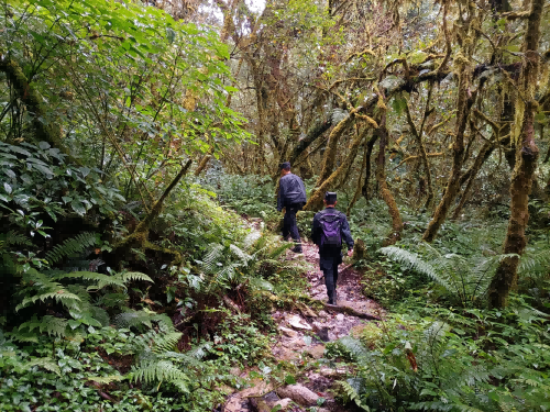 图片 2.png 图片 2.png