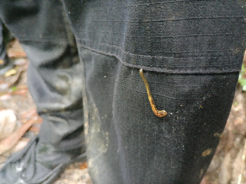 图片 4.png 图片 4.png