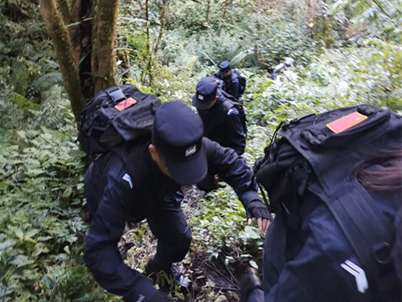 图片 1.png 图片 1.png