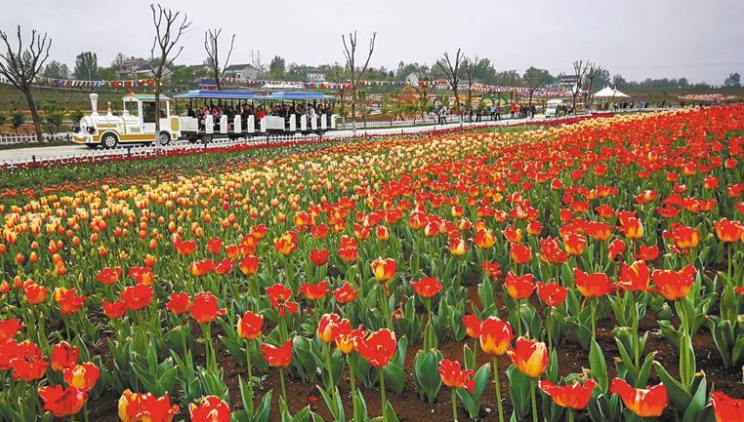 乡村2.png