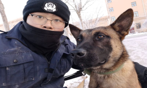 跨越山海，警犬“江珑”前来报到！