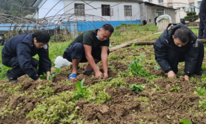 “小”菜地里的警营文化“大”餐