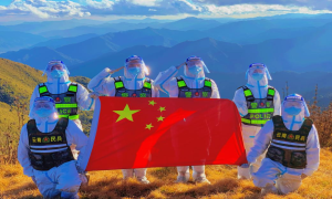 我的青春很荣幸