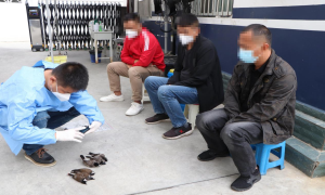 闲来无事用弹弓打鸟 “都市猎人”当场被抓