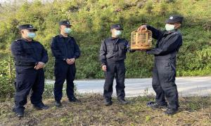 蛮耗边境检查站救助国家二级重点保护野生动物