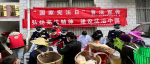 乡村集市里的普法宣传