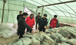 深圳皇岗边检站联合爱心企业赴广西三江良冲村开展定点帮扶工作