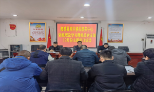 深化党的十九届六中全会精神学习 提前擘划2022年移民工作