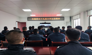 岩甲边境检查站持续深入学习党的十九届六中全会精神