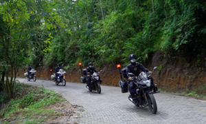 边境线上的“骑警队”