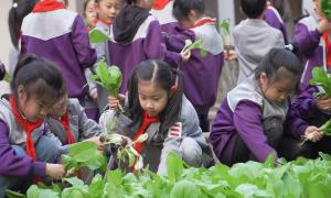 巧用编制笔  答好“双减”卷