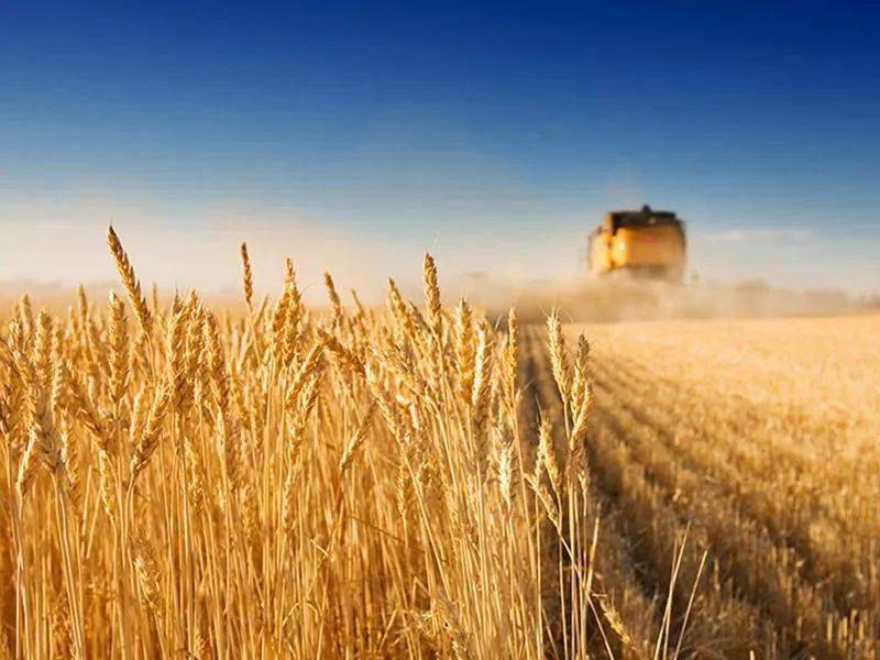 法治.jpg 法治.jpg