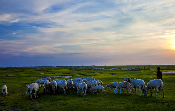 法治.jpg 法治.jpg