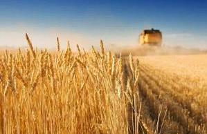 浅析《民法典》对“三农”问题的影响