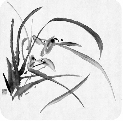 lanhua2.jpg
