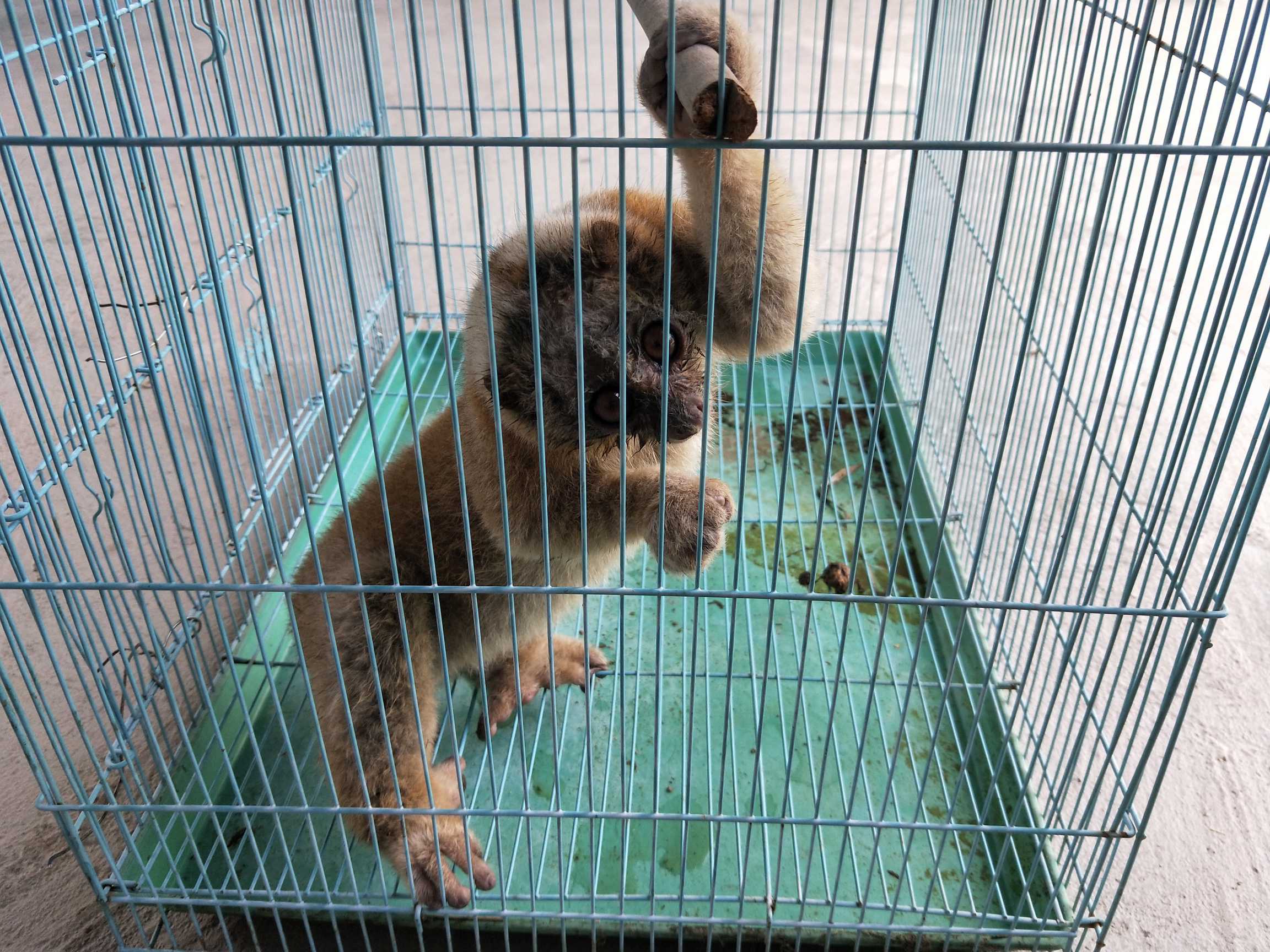 ff54eedbb4bbd6fdef87b8caf2ee195.jpg ff54eedbb4bbd6fdef87b8caf2ee195.jpg