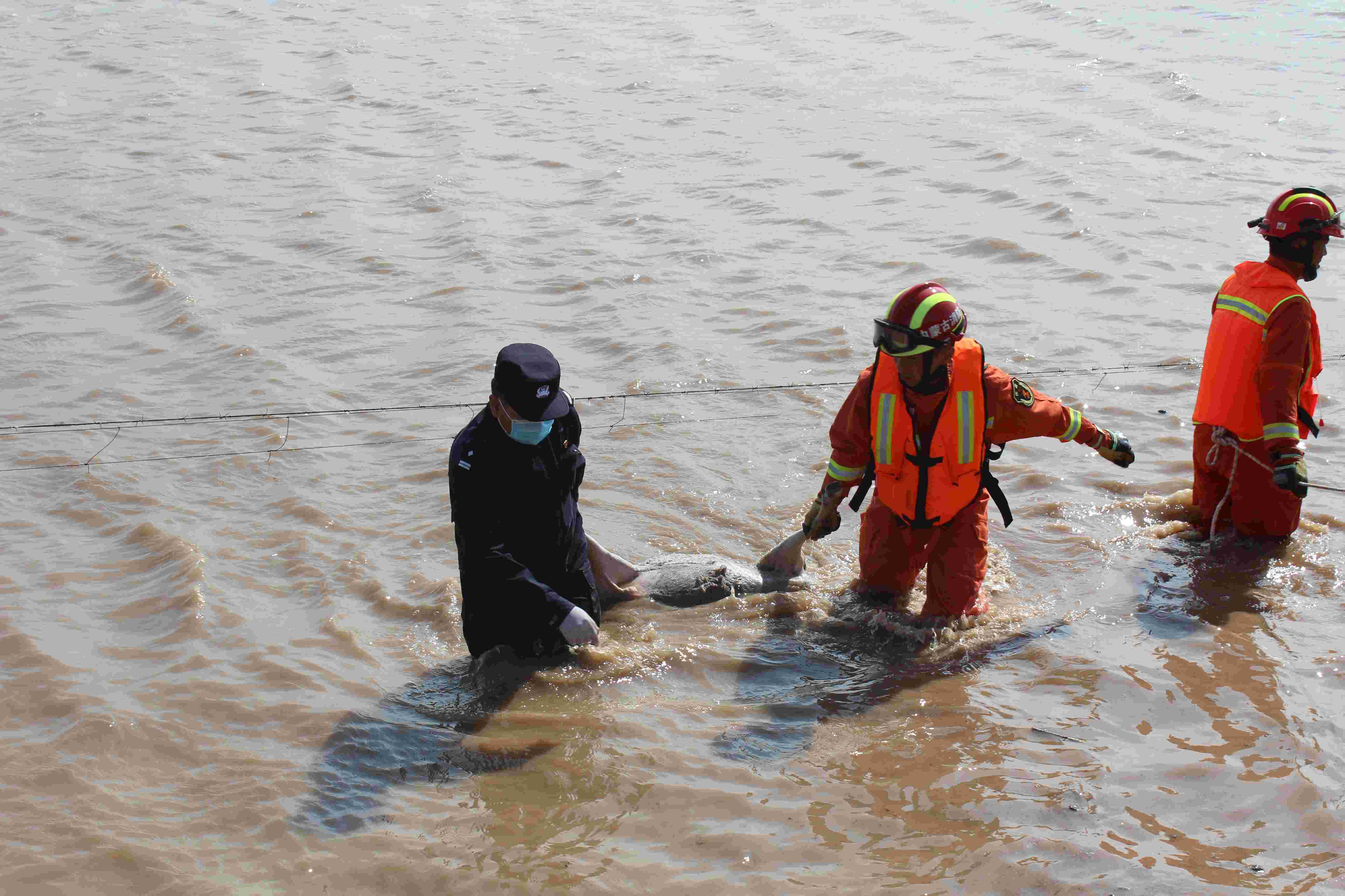 微信图片_202108151042403.jpg 微信图片_202108151042403.jpg