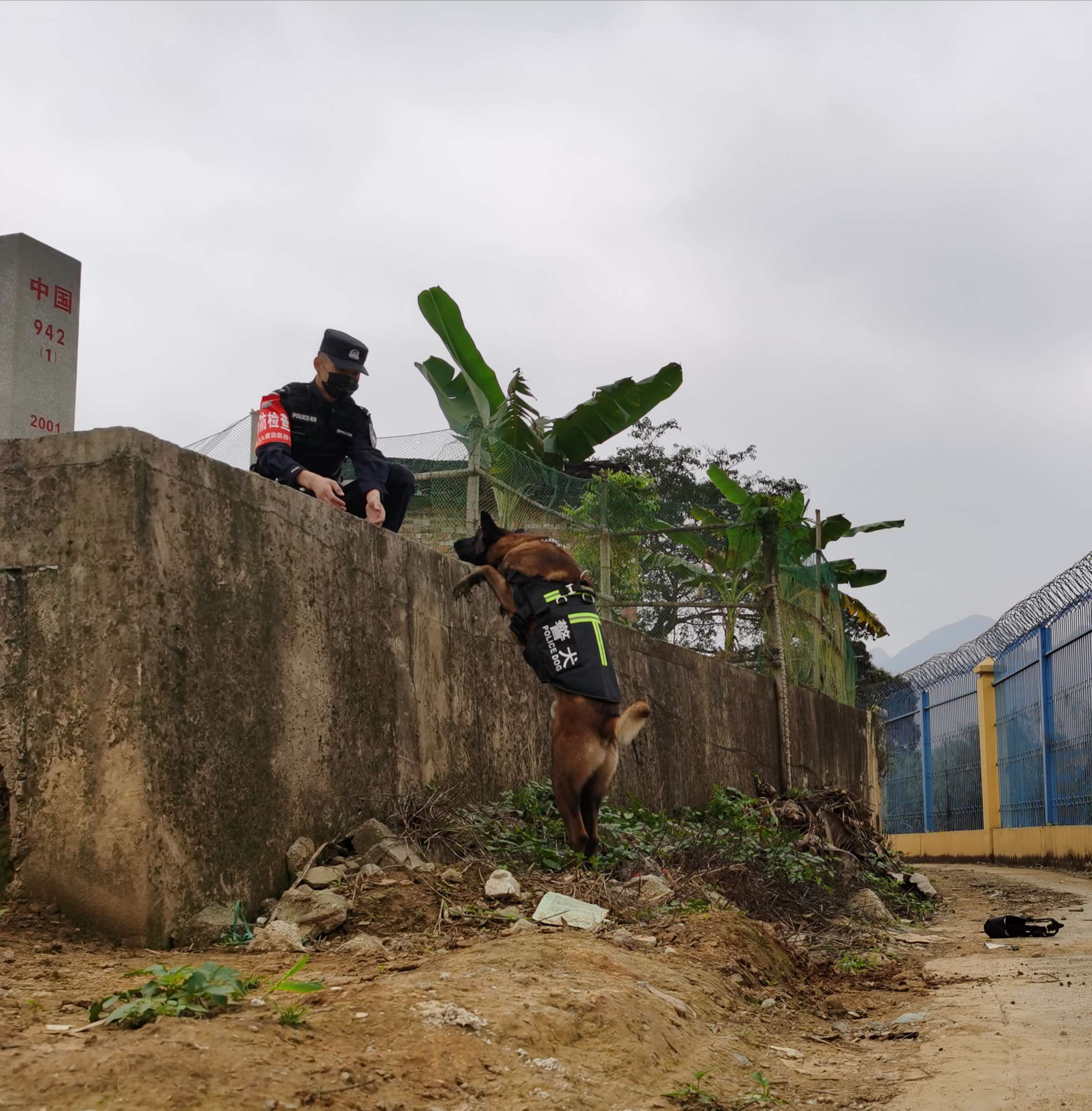 石军与“军刀“在边境一线训练 王威摄.jpg 石军与“军刀“在边境一线训练 王威摄.jpg