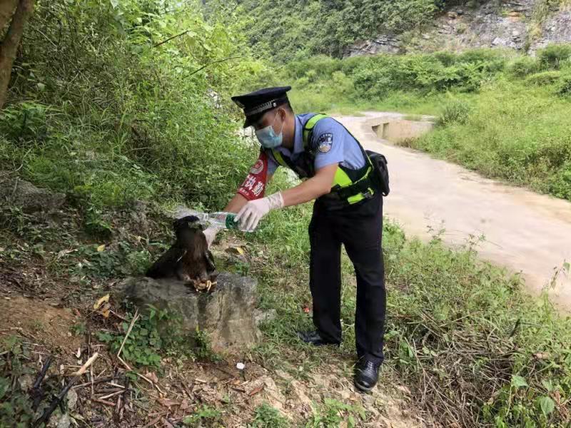 6a49d4ce88c0719e3c370ee087cff06.jpg 6a49d4ce88c0719e3c370ee087cff06.jpg