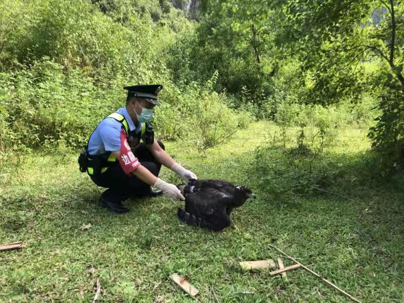 1f78635d38abbd47fd6cae7732aa0da.jpg 1f78635d38abbd47fd6cae7732aa0da.jpg