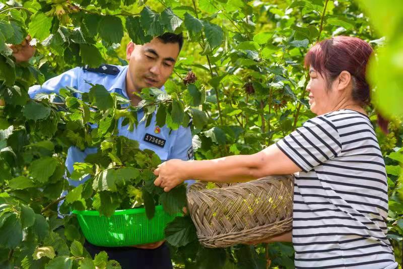 法治1.jpg 法治1.jpg