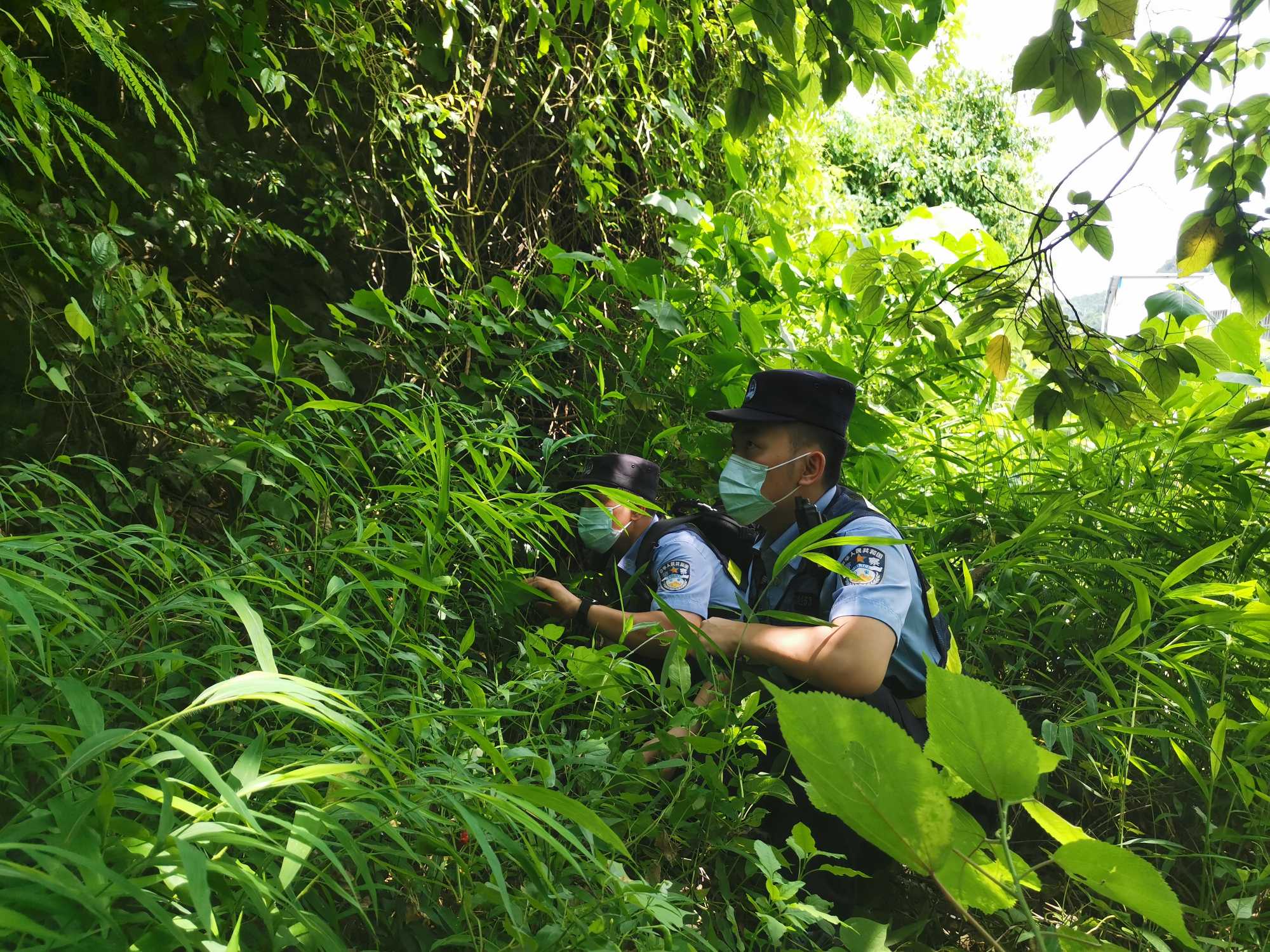 图为广西友谊关出入境边防检查站弄尧分站民警潜伏丛林执行抓捕任务 于明摄.jpg 图为广西友谊关出入境边防检查站弄尧分站民警潜伏丛林执行抓捕任务 于明摄.jpg