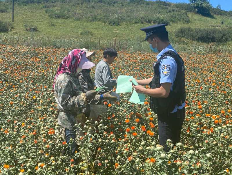 法治2.jpg 法治2.jpg