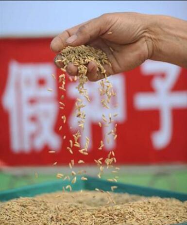 法治.jpg 法治.jpg