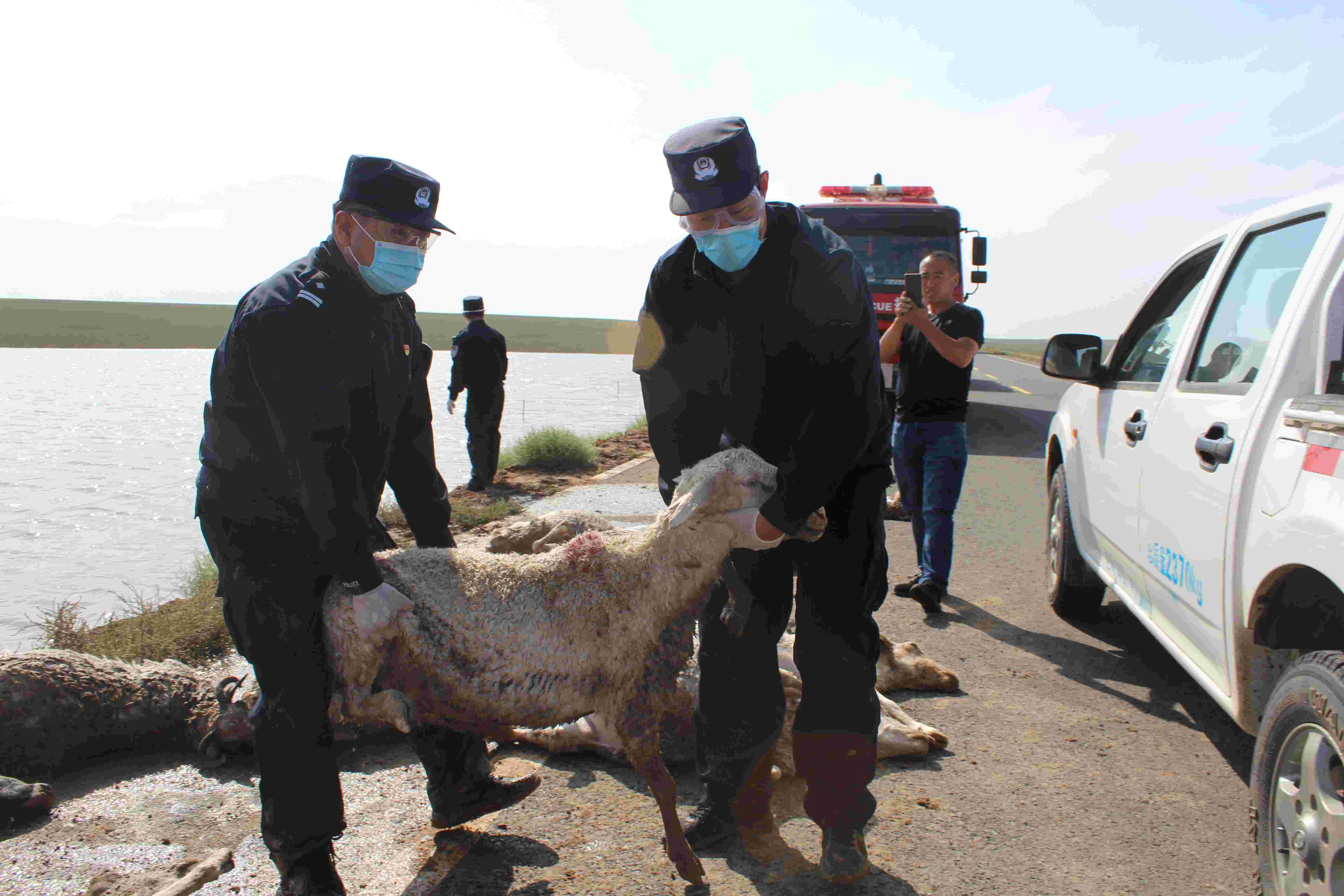 微信图片_202108151042402.jpg 微信图片_202108151042402.jpg