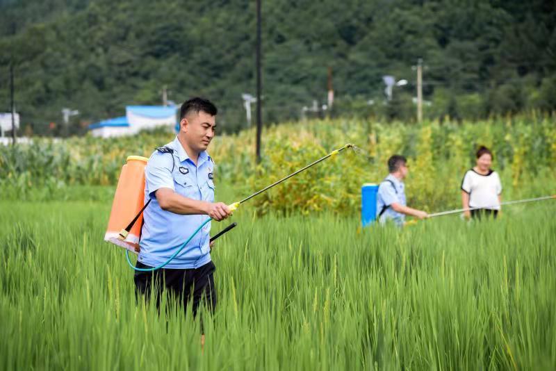 法治2.jpg 法治2.jpg