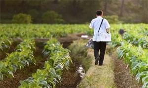 全国有79.2万名乡村医生和卫生员坚守一线，服务村民
