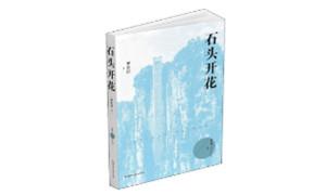 《石头开花》：壮阔与温润兼备的现实书写