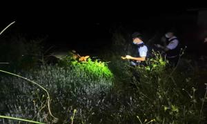 民警夜间巡逻遇水牛 朋友圈助其找到主人