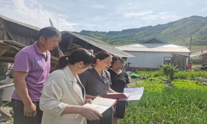 府院联动提升专业度 柔性执法更有人情味