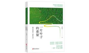 “一片叶子富了一方百姓”