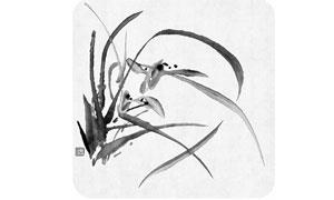 幽芳尘不濡 秾华贵此生——品读曹文忠的写意兰花