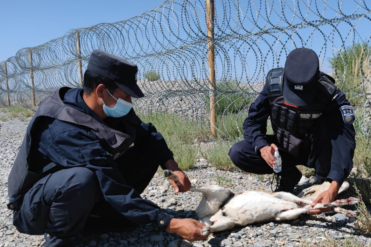 图片1.png 图片1.png