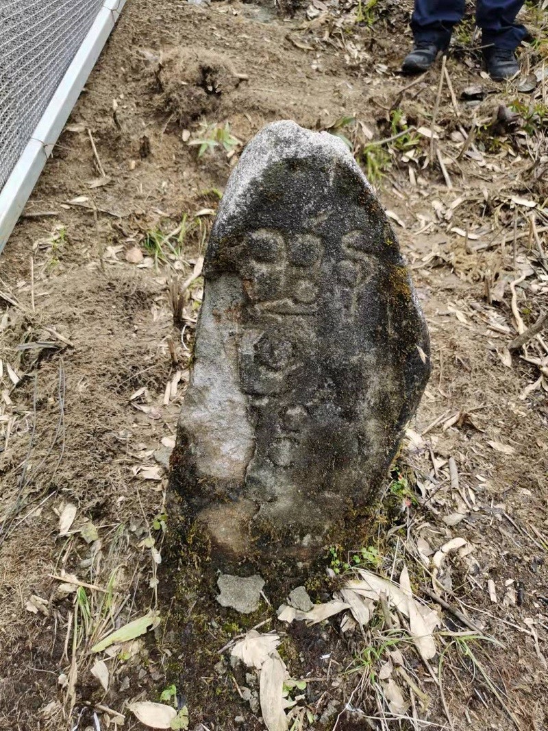 图片 7.jpg 图片 7.jpg