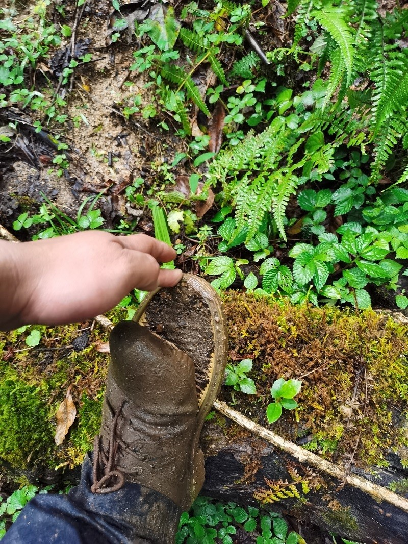 图片 2.jpg 图片 2.jpg