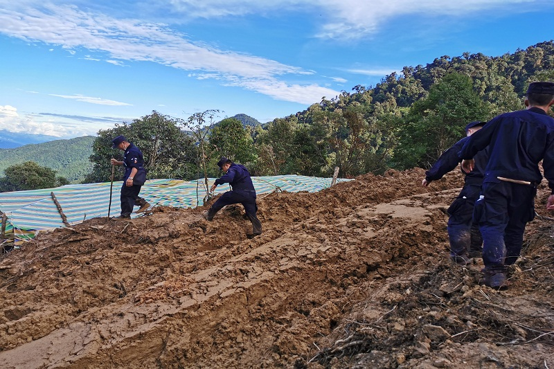 图片 1.png 图片 1.png